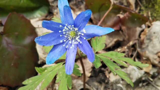 肯定形で考える